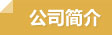 公司简介